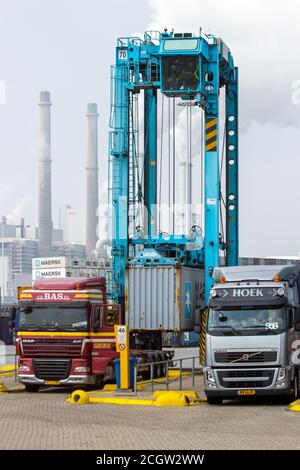 Transporteur à cheval plaçant un conteneur d'expédition sur une remorque de camion dans un terminal du port de Rotterdam (pays-Bas), le 6 septembre 2013. Banque D'Images