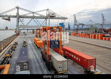 Le transporteur à cheval déplace un conteneur Maersk dans le terminal maritime du port de Rotterdam (pays-Bas), le 8 septembre 2013. Banque D'Images