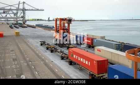 Le transporteur à cheval déplace un conteneur Maersk dans le terminal maritime du port de Rotterdam (pays-Bas), le 8 septembre 2013. Banque D'Images