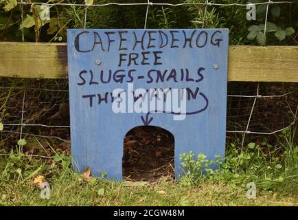 Affiche « café Hedgehog » fantaisie à l'abbaye de Bradwell, Milton Keynes. Banque D'Images