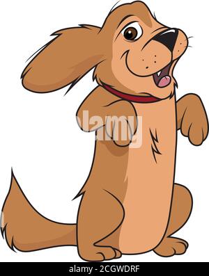 illustration vectorielle d'un chien moelleux debout Illustration de Vecteur