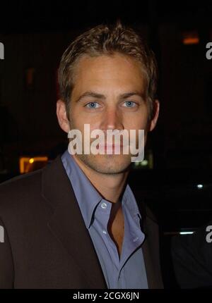 MIAMI, FLORIDE - 30 NOVEMBRE : l'acteur Paul Walker, qui ont tiré à la renommée comme star de la high-octane franchise de course de rue "Fast & Furious", est décédé samedi dans un accident de voiture en Californie du Sud. Il a été 40. Walker's publicist Ame van Iden a confirmé sa mort, mais a dit qu'elle n'a pas pu élaborer au-delà des déclarations publiées sur Walker's deux comptes Twitter et Facebook. Walker était un passager dans la voiture d'un ami et les deux étaient inscrits à un événement de bienfaisance pour son organisation, tendre la main à travers le monde, dans la communauté de Valence à Santa Clarita, environ 30 miles au nord d'Hollywood. Le site web de l'organisme de bienfaisance a déclaré l Banque D'Images