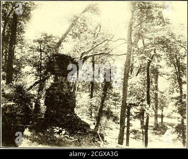 . Le journal de chemin de fer de rue . resque décor. Vous trouverez un grand spectacle, des promenades en bateau et des bains, ainsi qu'une grande salle à manger et un PA-vilion dansant parmi les attractions. La gestion de l'homme ne s'adresse qu'à la meilleure classe de personnes, et le parkest utilisé principalement pour les pique-niques et les soirées en tramway. Les Tck-ets sont vendus sur les deux routes avec des coupons d'entrée au parc, et les deux routes ont des arrangements pour des voitures spéciales de mise à disposition, avec l'usage exclusif du pavillon de danse. Dans la planification de la centrale électrique pour le chemin de fer de Springfield, Troy et Piqua, plusieurs circonstances l'ont rendu inopportun Banque D'Images