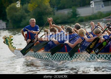 Prague, République tchèque. 12 septembre 2020. Le batteur et les pagayeurs de KVS Draci Praha participent au 23e Festival de bateaux-dragons de Prague dans la Vltava à Prague, République tchèque, le 12 septembre 2020. Crédit: Dana Kesnerova/Xinhua/Alamy Live News Banque D'Images