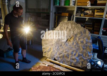 19 août 2020, Saxe-Anhalt, Mammendorf: Michael Buchwitz, conservateur pour les géosciences au Musée d'Histoire naturelle de Magdeburg, illumine une dalle de pierre avec un spot, sur lequel on peut voir des traces pétrifiées d'eau courante et des traces de rayures d'un dinosaure de dottooth. Les traces avaient été rayées dans le sol par le dinosaure à la recherche de nourriture il y a environ 260 millions d'années. Les pistes d'eau sont appelées « ondulations ». L'habitat était relativement sec, mais la zone était régulièrement inondée par de fortes pluies. Depuis 2016, les scientifiques sont régulièrement à la recherche de traces de dinosaures dans les pièges de la carrière. (t Banque D'Images