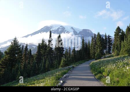Sentier pavé accessible dans le parc national du Mont Rainier, État de Washington, États-Unis Banque D'Images