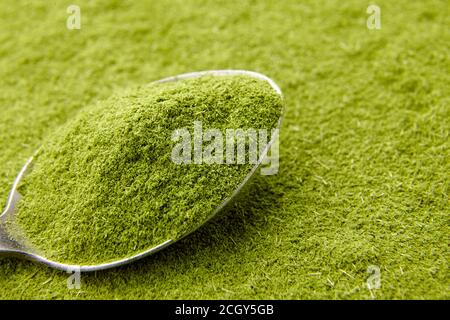 Petite poudre de wheatgrass verte dans une cuillère en acier. Supplément nutritionnel Detox. Banque D'Images