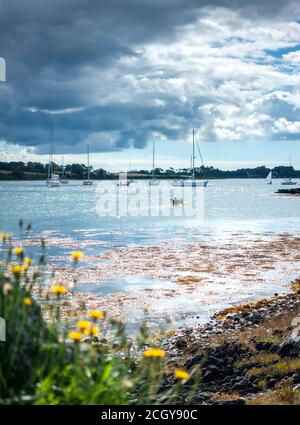 Navigation sur Strangford Lough, Co. Down, Irlande du Nord Banque D'Images