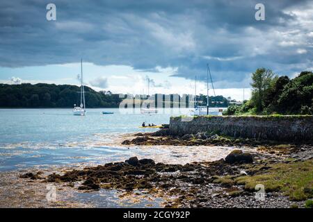 Navigation sur Strangford Lough, Co. Down, Irlande du Nord Banque D'Images