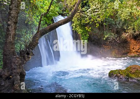 La cascade de Banias (Banyas), réserve naturelle, nord d'Israël Banque D'Images