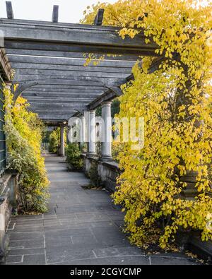 Couleurs d'automne sur la passerelle Hill Gardens au jardin secret de Hampstead, Londres. Banque D'Images