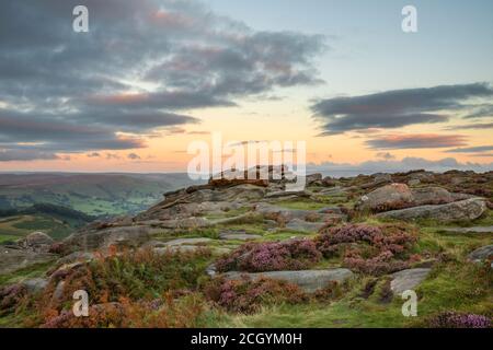 Vue imprenable sur le paysage de la bruyère de la fin de l'été dans Peak District Autour de Higger Tor au lever du soleil Banque D'Images