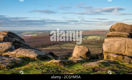 Vue imprenable sur le paysage de la bruyère de la fin de l'été dans Peak District Autour de Higger Tor au lever du soleil Banque D'Images