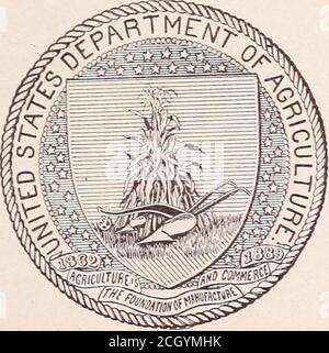 . Changements dans les taux de droit pour les services de chemin de fer et autres services de transport . WASHINGTON: BUREAU D'IMPRESSION DU GOUVERNEMENT. 1901. LETTRE DE TRANSMISSION. Département de l'agriculture des États-Unis, Division de la statistique,^Yas}dngtor), D. C, octobre 31, 1901.Monsieur, J'ai l'honneur de vous faire tenir ci-joint une copie révisée d'un rapport sur les changements dans les taux de charge de railwa}^ et d'autres services de translocation. Ce rapport a été rédigé par M. H. T.Newcomb, ancien chef de la section des tarifs de fret de cette division, et a été révisé pour publication par M. Edward G. Avard, jr., l'actuel expert en Banque D'Images