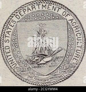 . Changements dans les taux de droit pour les services de chemin de fer et autres services de transport . WASHINGTON : IMPRESSION GOUVERNEMENTALE OFFICE.1 9 0 1. DÉPARTEMENT DE L'AGRICULTURE DES ÉTATS-UNIS, DIVISION DE STATISTIQUE-BULLETDT NO 15, RÉVISÉ. SÉRIES DIVERSES. JOHN HYDE, statisticien. CHANGEMENTS DANS LES TARIFS DES SERVICES DE CHEMIN DE FER ET AUTRES SERVICES DE TRANSPORT, PAR H. T. NEIWCOMB. RÉVISÉ PAR EDW^ARD G-. WARD, Jr Expert en Tnnisportation Statistics.changesinrateso15newc Banque D'Images