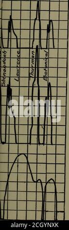 . Rapport de la Commission d'essai des chemins de fer électriques au président de l'exposition d'achat de la Louisiane . 3:30 (vers la page face 130) Banque D'Images