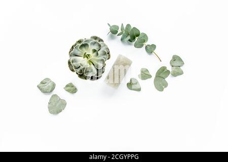 eucalyptus vert succulent, bougie, feuilles isolées sur fond blanc. flat lay, vue de dessus Banque D'Images