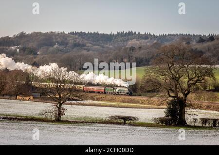 BR 'A4' 4-6-2 No 60009 'Union of South Africa' passe près d'Abinger Hammer à Surrey, Angleterre, Royaume-Uni Banque D'Images