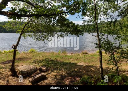 Vue sur le lac Saint-Agnan situé dans la zone protégée du Parc naturel régional du Morvan, département de Nièvre, FRANCE. Banque D'Images