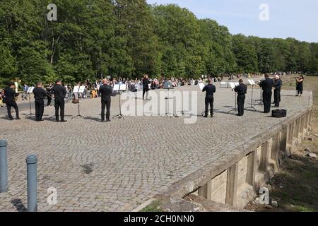 Weimar, Allemagne. 13 septembre 2020. Les musiciens de la Staatskapelle Weimar jouent devant les participants d'une marche commémorative sur le terrain de l'ancienne gare du camp de concentration de Buchenwald. A l'occasion du 75e anniversaire de la libération du camp de concentration de Buchenwald, 'la marche jusqu'à Buchenwald' a eu lieu ici. Credit: Bodo Schackow/dpa-Zentralbild/dpa/Alay Live News Banque D'Images