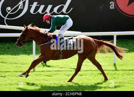 Cayenne Pepper, criblée par le jockey Shane Foley, remporte la course de joyaux de Blandford Stakes (Groupe 2) lors du deuxième jour du week-end des champions irlandais de Longines à l'hippodrome de Curragh. Banque D'Images