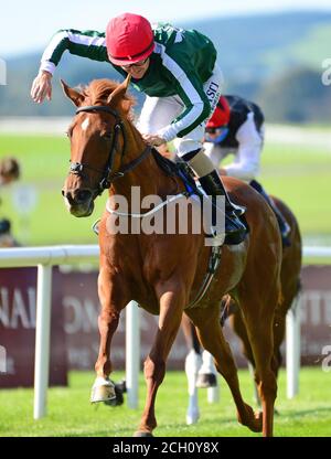 Cayenne Pepper, criblée par le jockey Shane Foley, remporte les joyaux de Blandford Stakes (Groupe 2) à l'hippodrome de Curragh. Banque D'Images