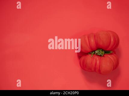 Gros plan de tomates mûres à l'arrière-plan. Banque D'Images