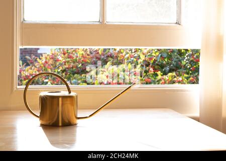 Un arrosoir d'intérieur de fantaisie pour les plantes dans un intérieur de maison ou d'appartement magnifiquement conçu. Banque D'Images
