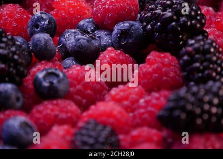 Composition de baies fraîches. Framboises, mûres et bleuets sur fond noir. Savoureux fruits biologiques à l'aspect couvert de rosée. Banque D'Images