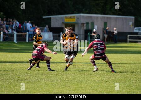 Rugby à la base de l'herbe au pays de Galles Banque D'Images