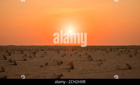 Dunes de sable aux Émirats arabes Unis, Abu Dhabi, Dubaï, Moyen-Orient. Banque D'Images