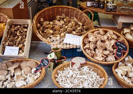 Champignons sur le marché de Bâle Banque D'Images