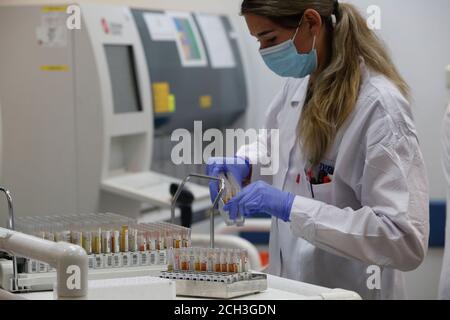 Ou Yehuda. 13 septembre 2020. Le 13 septembre 2020, un travailleur médical effectue des tests sérologiques pour détecter le coronavirus dans un laboratoire des services de santé de Leumit, dans la ville centrale israélienne de Yehuda. Le ministère israélien de la Santé a signalé 2,882 nouveaux cas de COVID-19 dimanche, portant le nombre total à 155,604. Credit: Gil Cohen Magen/Xinhua/Alay Live News Banque D'Images