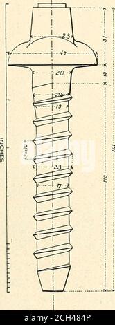 . Formes de traverses et fixations de rail avec une référence spéciale aux poutres en bois traitées . E a v T. Banque D'Images