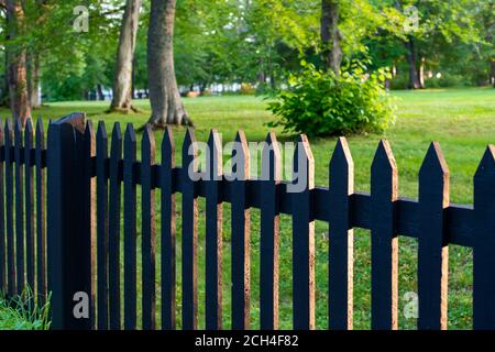 Une clôture de piquetage en bois noir avec herbe verte, grands arbres et arbustes luxuriants dans un jardin. La scène estivale est vibrante et colorée. Banque D'Images