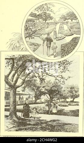 . Itinéraires et tarifs pour les excursions d'été ... 1888 . n et New York. (file d'attente rapide tous les jours). Quittez Alexandria Bay (Steamer) tous les jours de 7.00 à 8.15 heures, Clayton (Sleeping Cars) de 7.30 à 18 heures. Arrivez à Utica U.30 à   heures, New York, Grand Central Station, Clayton et Niagara Falls. Quittez Alexandria Bay (Steamer) n.50 a.m, Clayton (Drawing-Room Cars) i.oo p.m. arrivée des chutes du Niagara à 11.20 h Clayton et Rochester. Quittez Alexandria Bay (Steamer) 7.00 a.i Clayton (Drawing-Room Cars) 8 00 a.i arrivée Rochester 3-35 P-^ Clayton et Syracuse. Quittez Alexandria Bay (Steamer) 7-0° a.r Clayton (Drawing-Room Cars) 8 00 a.i Arr Banque D'Images