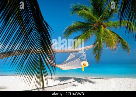 Hat reposant sur hamac blanc enfilés sous palm tree trunk sur Sandy Shores Banque D'Images