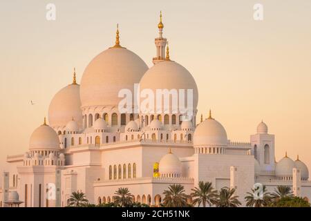 Grande Mosquée de Sheikh Zayed à Abu Dhabi, Émirats arabes unis Banque D'Images