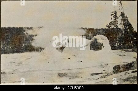 . L'histoire des vacanciers de leur voyage d'est en ouest et de leur retour à la maison. Château Geyser, parc de Yellowstone. Grotto Geyser, parc de Yellowstone Banque D'Images