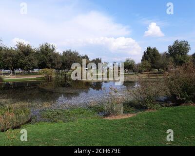 Israël, la vallée de Hula, la réserve naturelle du lac Agmon UNE petite partie de la vallée a été par la suite inondée pour tenter de raviver un écosystème presque éteint. Banque D'Images