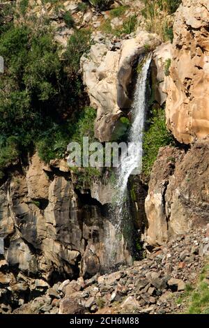 Israël, Golan, réserve naturelle de Gamla cascade. Banque D'Images