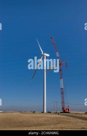 Grue géante soulevant la pale de l'éolienne à fixer à la nacelle lors de la construction d'un parc éolien pour le district municipal de Sacramento, près de Rio vis Banque D'Images