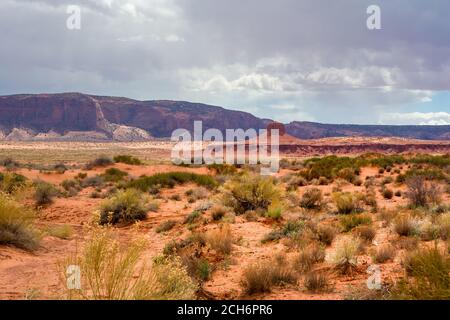 Désert de sable rouge à Monument Valley, Arizona, États-Unis Banque D'Images