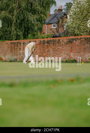 Un homme habillé de blancs traditionnels jouant du croquet de pelouse tenant un maillet de croquet sur le point de jouer un coup vers un cerceau le jour de l'été au Royaume-Uni. Banque D'Images