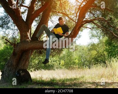 Vacances d'été dans la forêt. Le gars dans l'arbre est en train de lire un livre. Banque D'Images