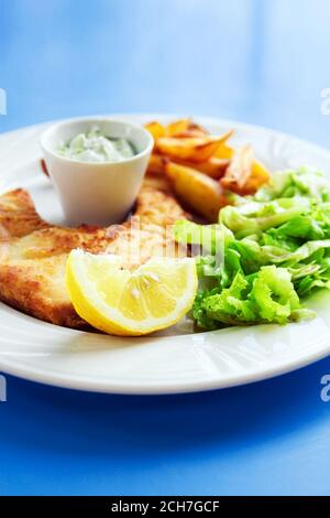 Filet de poisson frits avec frites, sauce tzatziki et salade (mise au point sélective) Banque D'Images