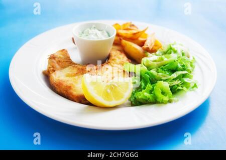 Filet de poisson frits avec frites, sauce tzatziki et salade (mise au point sélective) Banque D'Images