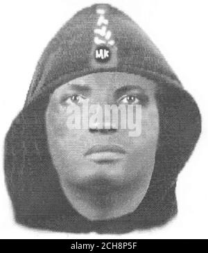 L'image de l'efit de la police des Midlands de l'Ouest a été publiée jeudi 8 septembre 2005 en relation avec un assaut sur Tracey Cullum à un arrêt d'autobus de Birmingham qui a entraîné sa mort. Tracey, âgée de 30 ans, de Selly Oak, a été traitée à l'hôpital après un débat avec quatre jeunes qui l'ont frappé à coups de poing le samedi 2 juillet. Elle a été prise malade le vendredi 12 août et est retournée à l'hôpital où elle est décédée le même jour. Un post mortem a trouvé qu'elle est morte d'un embollisme coronaire. Voir PA Story attaque POLICIÈRE. APPUYEZ SUR ASSOCIATION PHOTO. Le crédit photo devrait se lire comme suit : police des West Midlands/PA Banque D'Images