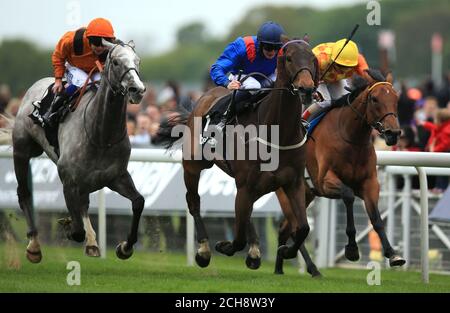 Clever cookie, monté par PJ McDonald (au centre), bat second Step, monté par Andrea Atzeni (à droite) et Curbyourenthusim, monté par D Sweeney (à gauche), pour remporter la coupe du Yorkshire de Betway au cours du troisième jour du Dante Festival à l'hippodrome de York. APPUYEZ SUR ASSOCIATION photo. Date de la photo: Vendredi 13 mai 2016. Voir PA Story RACING York. Le crédit photo devrait se lire comme suit : Mike Egerton/PA Wire Banque D'Images