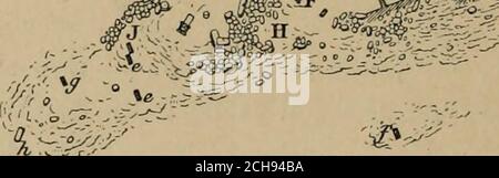 . L'aube de la civilisation: Egypte et Chaldaea . ût-el-Khâdîm et à Wady Maghara (Burton, ExcerptaEieroglyphica, pi. xlii. ; Champollion, monuments de Végypte et de la Nubie, vol. ii. P. 690-692 ; Lepsius, Denkm., ii. 137 a-h, 140 n; compte-tenu de l'enquête, pp. 175-177, 183, 184, et photographies, vol. iii pis. 3, 4); et d'Amenemhâît IV. Aussi dans les deux endroits (Lepsius, Denkm., ii. 140 o-p; Accountof the Surveij, pp. 177, 184, et photographies, vol. iii. pi. 4). Aucun monument portant les cartouchesde Ameuemhûît I., ou qui peut être daté à son règne, n'a encore été trouvé dans le Sinaï. 474 LE FIR HT Banque D'Images